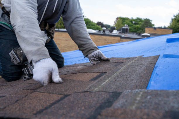 Best Roof Gutter Cleaning  in Sanford, NC